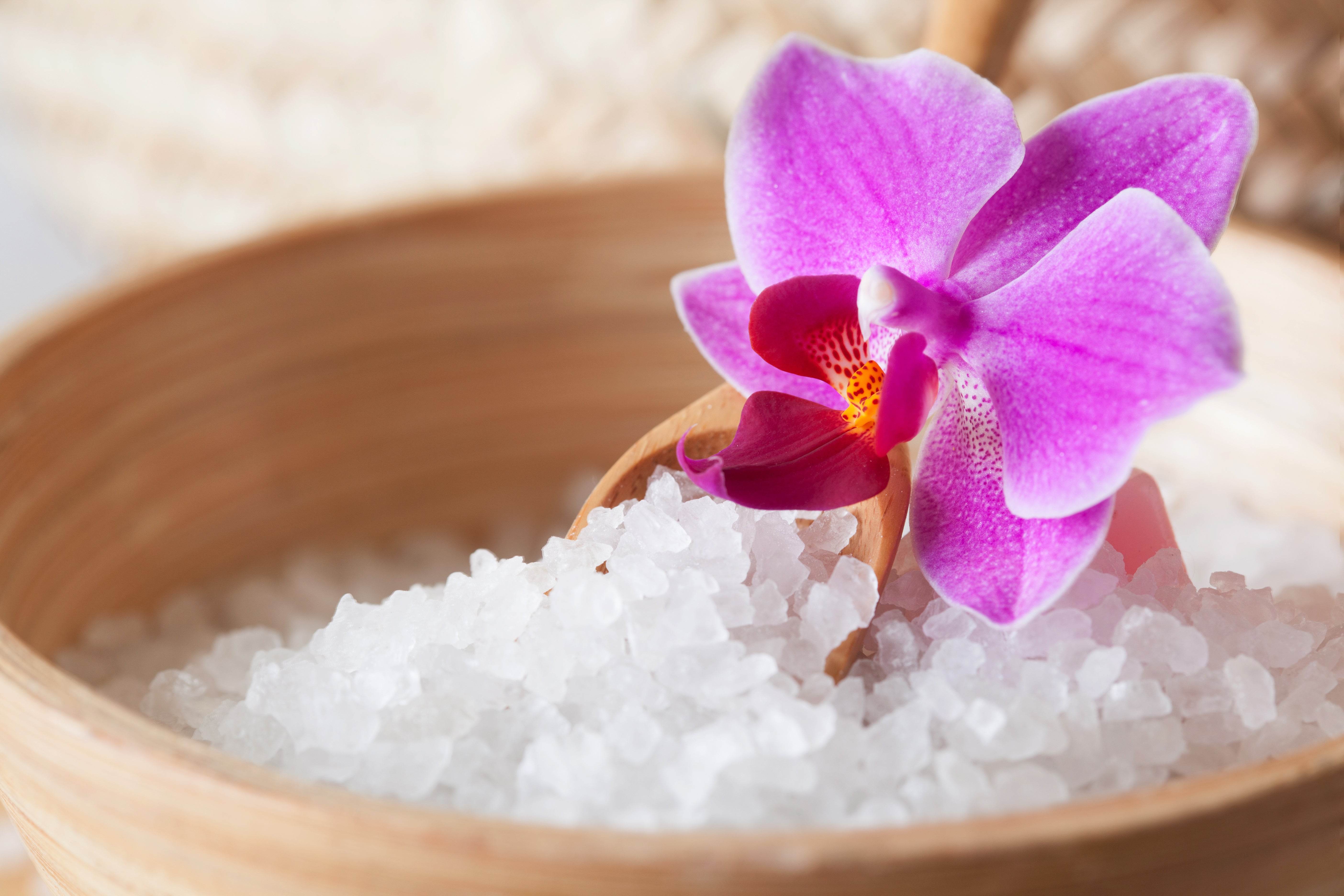 Sea Salt Orchid