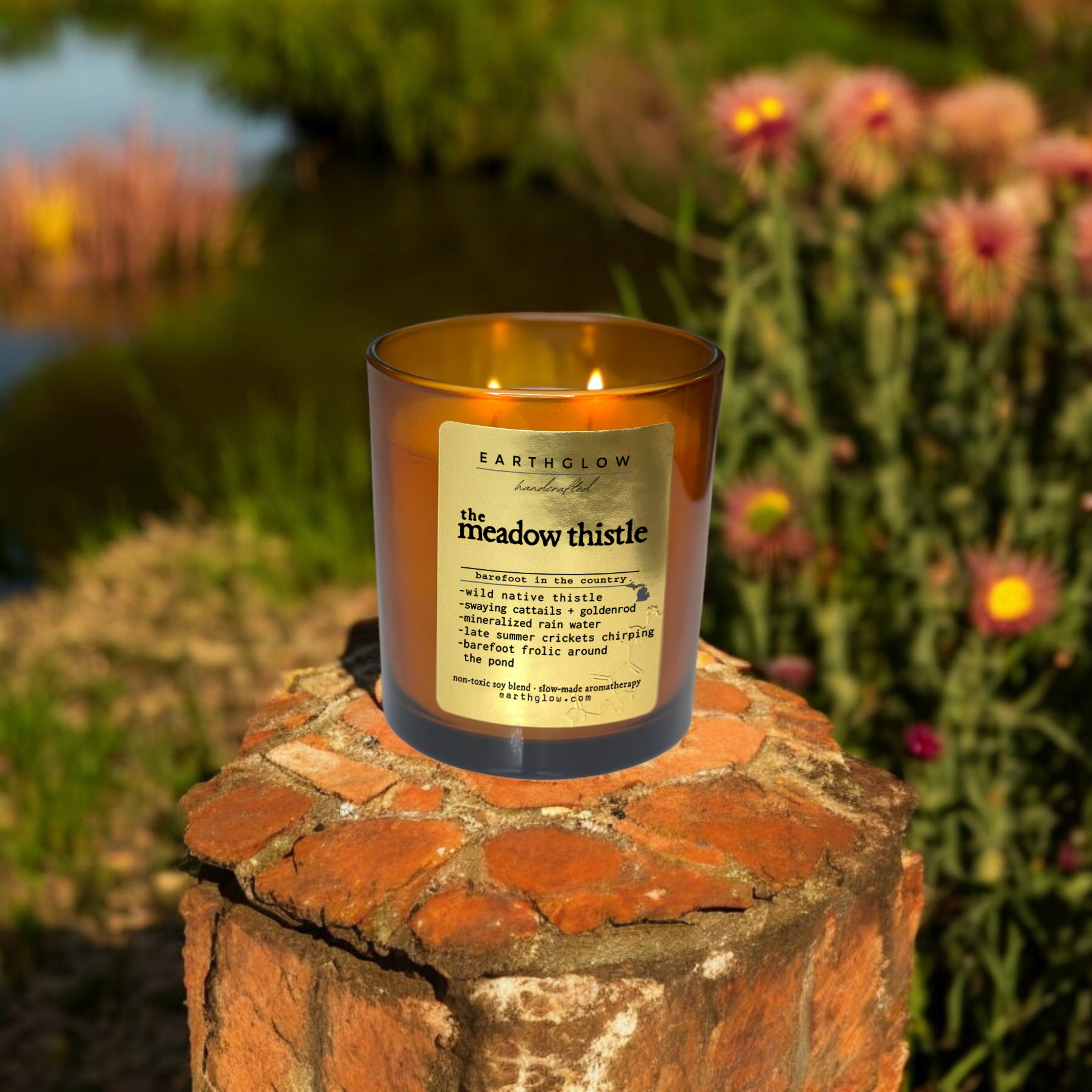 The Meadow Thistle
