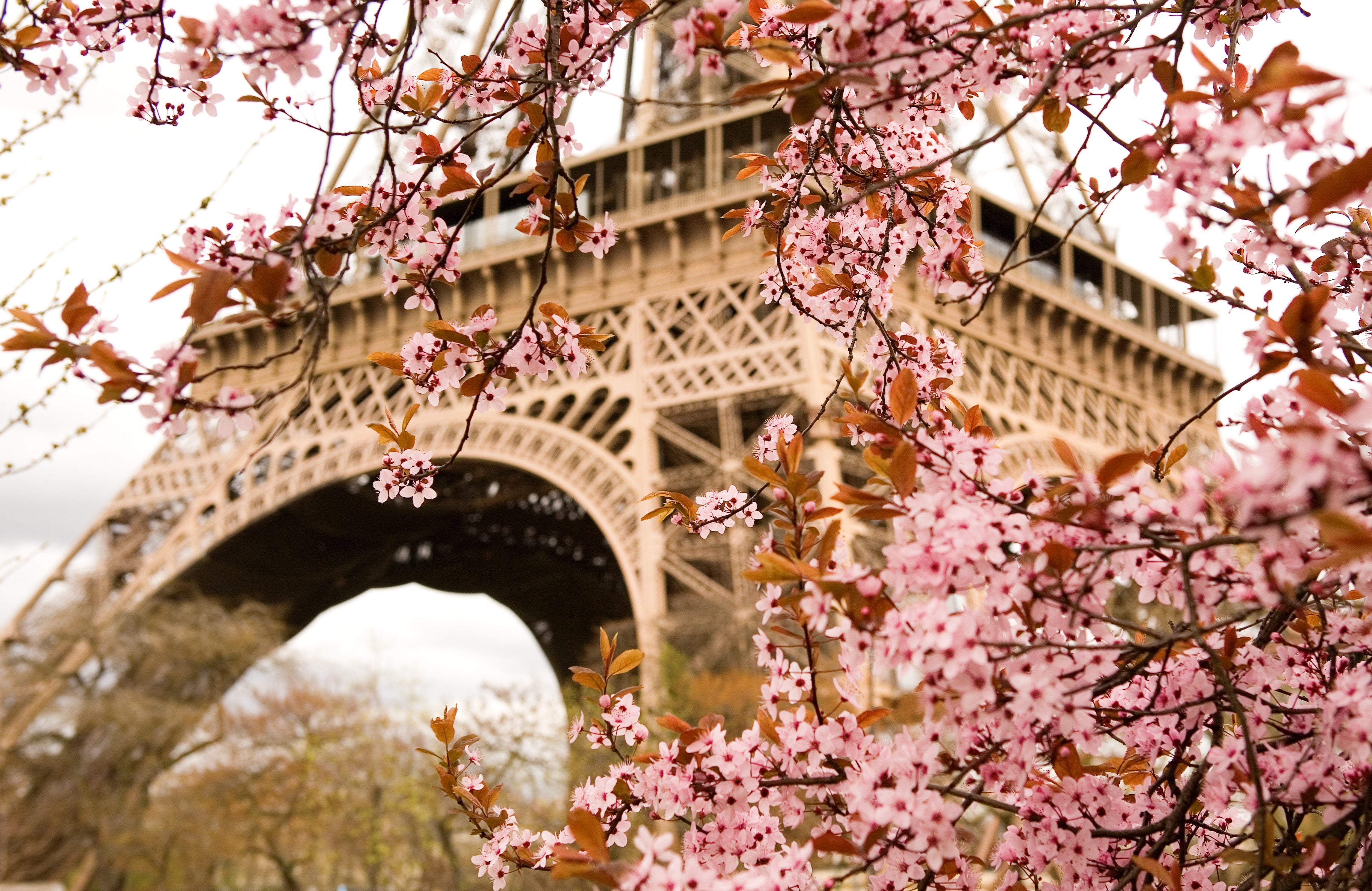 Paris Artisanal Perfume