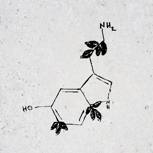 Listing for soozie_faquette December 20, 2025